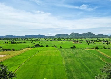 Dağ üzerindeki manzara pirinç tarlası, bulut ve mavi gökyüzü arka planı.