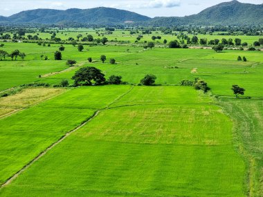 Dağ üzerindeki manzara pirinç tarlası, bulut ve mavi gökyüzü arka planı.