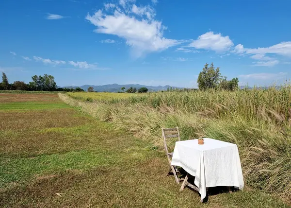 The table with a chair in the meadow landscape and a mountain on cloud in the blue sky background.