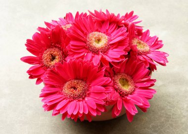 Masanın üzerinde güzel bir buket morumsu Gerbera çiçeği.