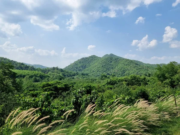 Mavi gökyüzü arka planında nimbus bulutları ile Poaceae ve dağ aralığı perspektifi