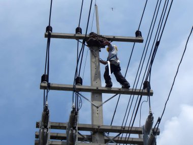 Elektrikçiler 22 kV 'lik elektrik direğindeki arı kovanını kaldırıyorlar. 