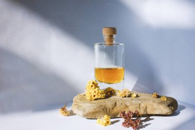 Sarı kahverengi parfümlü şeffaf cam şişe, kapalı mantar ve kurumuş çiçekler, denizden gelen gri taşın üzerinde duruyor ve beyaz arka planda güneş ışığı var. Güzellik ve bakım, güzellik salonu.