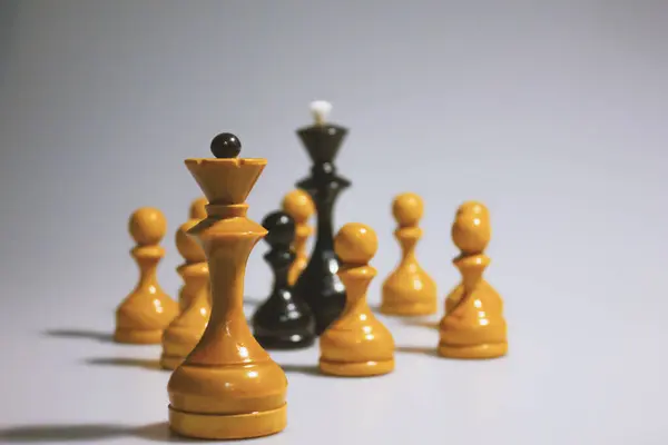 Beyaz arka planda kral ve kraliçenin satranç taşları. Piyonlar kralı korur. Oyun, aile, mutlu, eğlenceli, beyin, hobi