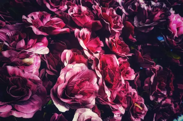 Лавандові Мрії Декоративної Фіолетової Квіткової Вітрини — стокове фото