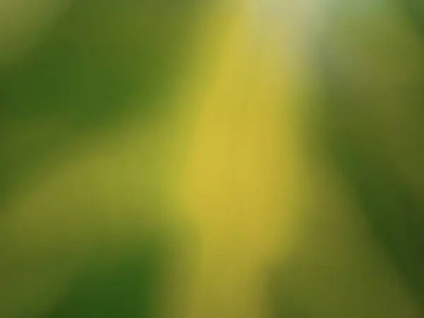 Tencerede güzel bir bitkinin yakın çekimi.