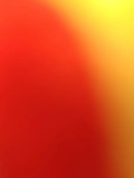 Dekoratif kil ve çakıllı çömlekte küçük yeşil kaktüs bitkisi