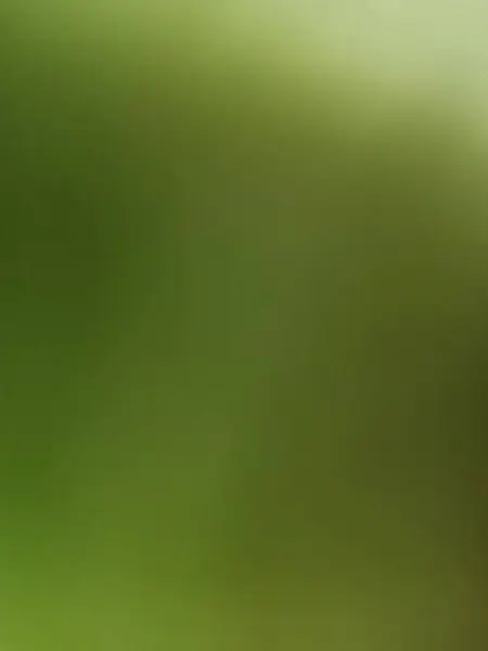 soyut yeşil arkaplan dokusu, grafik duvar kağıdı