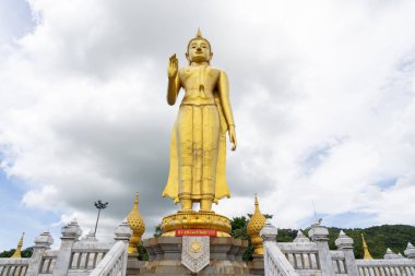 Yüce Buda, karşı tarafta sarı bir yılan var. - Ne? Buda imajına tapmak.