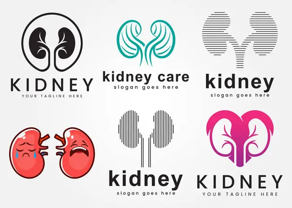 Böbrek logosu konsept vektörü, böbrek bakımı logo şablonu dizayn et