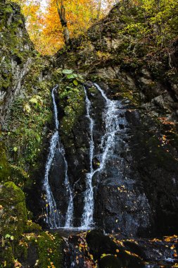 Dzudevski şelaleleri, Makedonya 'nın Vinica kenti yakınlarındaki orman