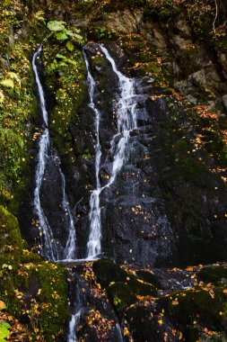 Dzudevski şelaleleri, Makedonya 'nın Vinica kenti yakınlarındaki orman