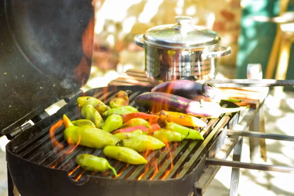 Roasted Vegetables Back Yard Barbecue Vinica Macedonia — Stock Photo, Image