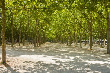 Bordeaux, Fransa 'nın güneybatısındaki Garonne Nehri' nde bulunan ünlü şarap yetiştirme bölgesinin merkeziydi..