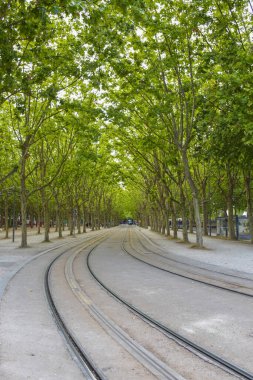 Bordeaux, Fransa 'nın güneybatısındaki Garonne Nehri' nde bulunan ünlü şarap yetiştirme bölgesinin merkeziydi..