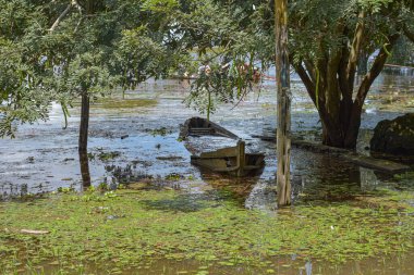 Amazon yağmur ormanları, Amazon yağmur ormanlarının Brezilya bölgelerinde yaşayan yerli halk kabilesi. Brezilya