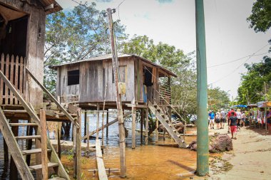 Amazon yağmur ormanları, Amazon yağmur ormanlarının Brezilya bölgelerinde yaşayan yerli halk kabilesi. Brezilya