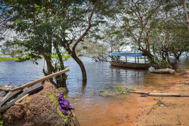Amazon yağmur ormanları, Amazon yağmur ormanlarının Brezilya bölgelerinde yaşayan yerli halk kabilesi. Brezilya