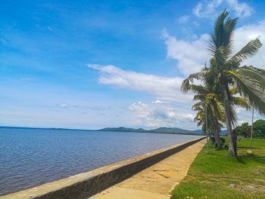 Fiji, Güney Pasifik 'te bir ülke, iskelenin yanındaki palmiye ağacı.