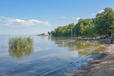 Peterhof Nehri kıyısındaki kıyı şeridi manzarası, güneşli bir yaz gününde, St. Petersburg, Rusya