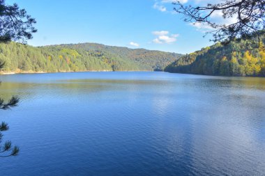 Arka planda mavi göl ve ormanın olduğu güzel bir sonbahar manzarası. Berovo Makedonya