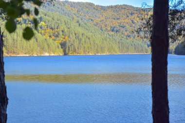 Arka planda mavi göl ve ormanın olduğu güzel bir sonbahar manzarası. Berovo Makedonya