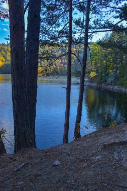 Arka planda mavi göl ve ormanın olduğu güzel bir sonbahar manzarası. Berovo Makedonya