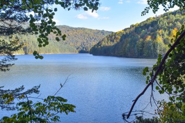 Arka planda mavi göl ve ormanın olduğu güzel bir sonbahar manzarası. Berovo Makedonya
