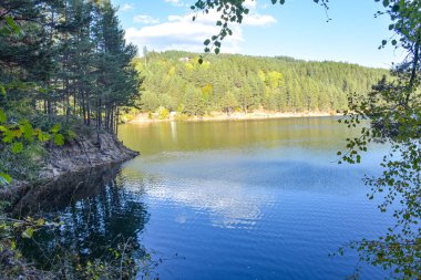 Ormanda bir göl, ağaçlar ve mavi gökyüzü ile sonbahar manzarası, Berovo, Makedonya.