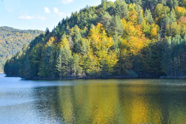 Ormanda bir göl, ağaçlar ve mavi gökyüzü ile sonbahar manzarası, Berovo, Makedonya.