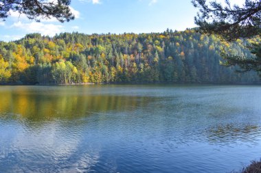Ormanda bir göl, ağaçlar ve mavi gökyüzü ile sonbahar manzarası, Berovo, Makedonya.