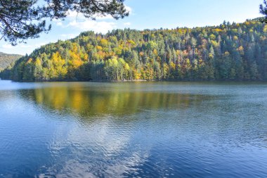 Ormanda bir göl, ağaçlar ve mavi gökyüzü ile sonbahar manzarası, Berovo, Makedonya.