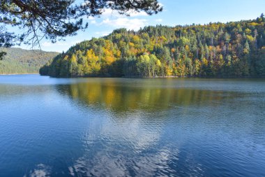 Ormanda bir göl, ağaçlar ve mavi gökyüzü ile sonbahar manzarası, Berovo, Makedonya.