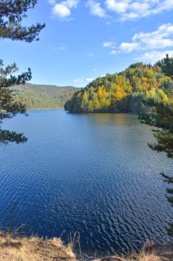 Ormanda bir göl, ağaçlar ve mavi gökyüzü ile sonbahar manzarası, Berovo, Makedonya.