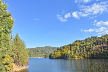 Ormanda bir göl, ağaçlar ve mavi gökyüzü ile sonbahar manzarası, Berovo, Makedonya.
