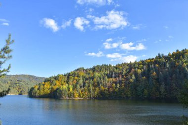 Arka planda mavi göl ve ormanın olduğu güzel bir sonbahar manzarası. Berovo Makedonya