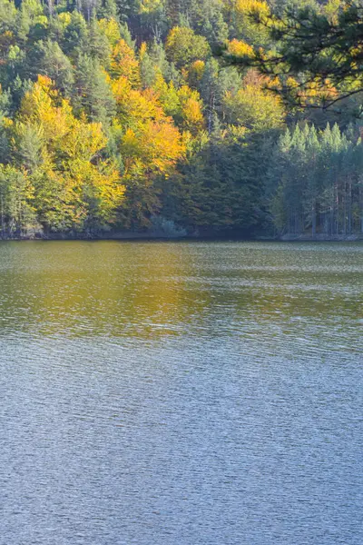 stock image Beautiful autumn landscape with blue lake and forest on the background. Berovo Macedonia