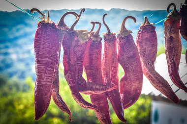 Tabakta domates ve peynir, soğan ve maydanoz dilimleri, Delcevo Macedonia