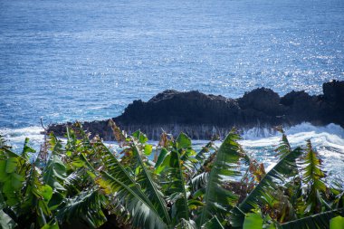 İspanya 'nın Kanarya Adaları, Tenerife kenti yakınlarındaki kıyı şeridi manzarası