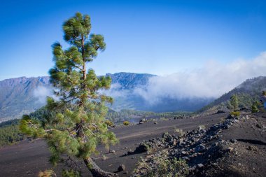 İspanya 'nın Kanarya Adaları, La Palma adasındaki volkanik manzara