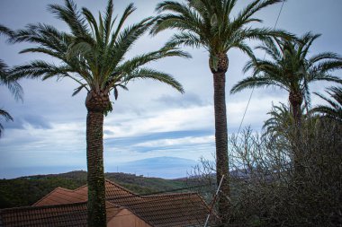La Palma 'daki Caldera de Taburiente manzarası, Kanarya Adaları, İspanya