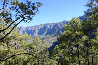 Caldera de Taburiente 'nin tepesinden, La Palma, Kanarya Adaları, İspanya