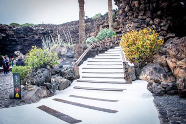 İspanya, Tenerife, Kanarya Adaları Bahçesi 'ndeki Merdiven