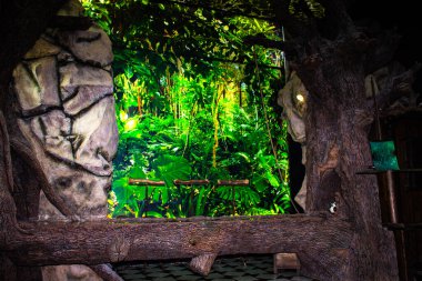 Tenerife 'deki tropik bahçe, Kanarya Adaları, İspanya