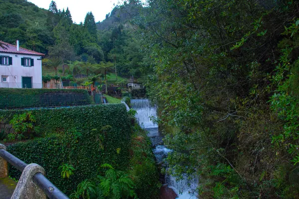 Portekiz 'in Madeira Adası' ndaki Funchal şehrinin merkezindeki caddenin görüntüsü