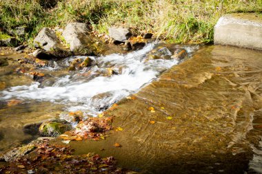 Ormandaki nehrin üzerinde şelalesi olan sonbahar manzarası. Makedonya 'nın Stip kenti yakınlarında