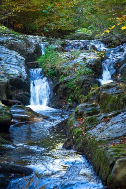 Ormandaki nehrin üzerinde şelalesi olan sonbahar manzarası. Makedonya 'nın Stip kenti yakınlarında