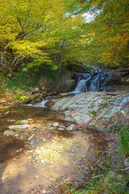 Ormandaki nehrin üzerinde şelalesi olan sonbahar manzarası. Makedonya 'nın Stip kenti yakınlarında