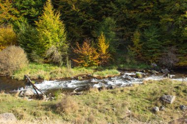 Ormanda bir dağ nehri ve kayalar olan sonbahar manzarası. Makedonya 'nın Stip kenti yakınlarında