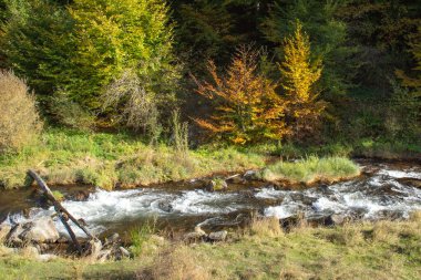 Ormanda bir dağ nehri ve kayalar olan sonbahar manzarası. Makedonya 'nın Stip kenti yakınlarında